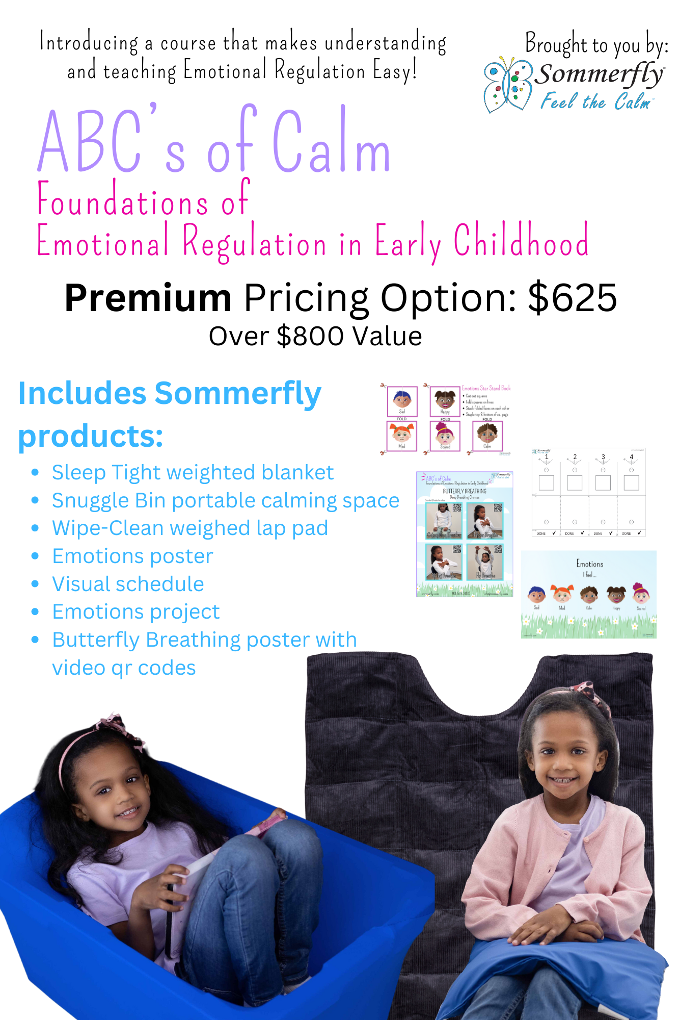 ABC's of Calm #2 PREMIUM OPTION - Foundations of Emotional Regulation in Early Childhood