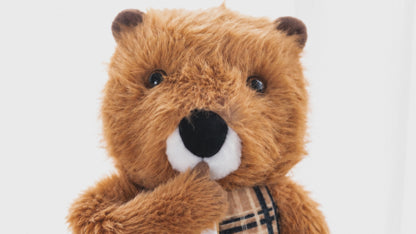 Grounding Groundhog™ Announcement Page